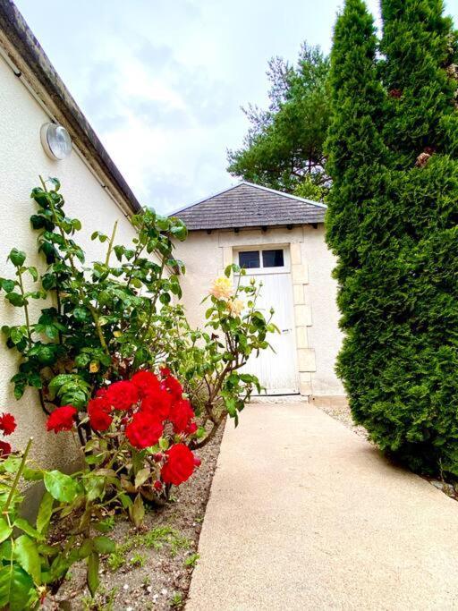 Demeure St Martin Vila Vierzon Exterior foto